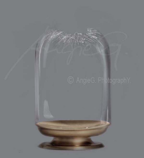 Transparent Jars With Glass Effect – Photoshop Download