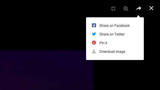 Social sharing and viewing options