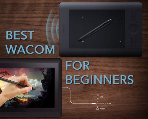 Ultimate Guide To The Best Wacom Drawing Tablet For Beginners