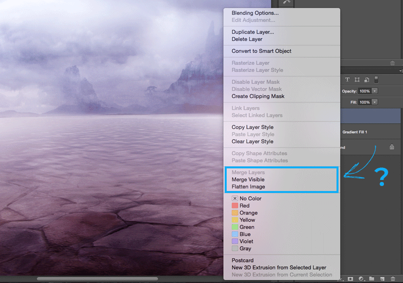 'Merge Down' option does not appear for Adjustment Layers