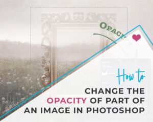 How To Change The Opacity Of Part Of An Image In Photoshop