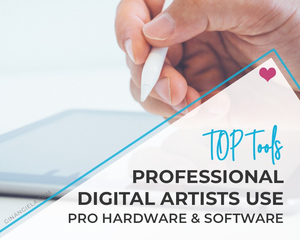 What tools do professional digital artists use?