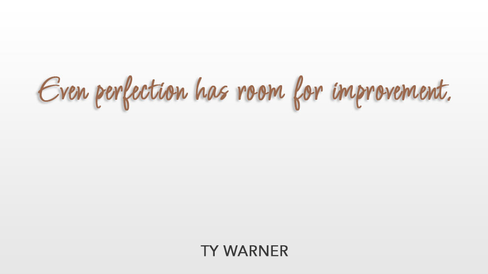 Even perfection has room for improvement. ~ Ty Warner