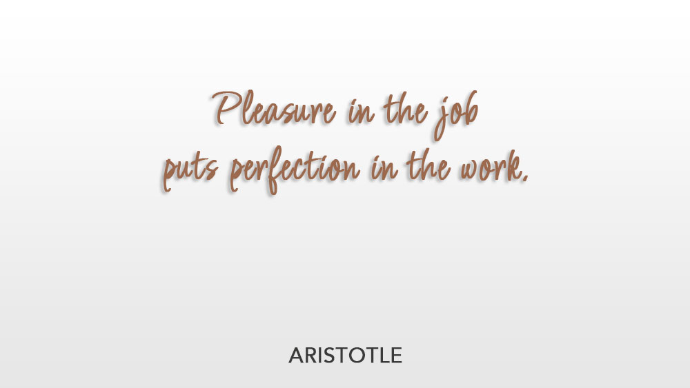 Pleasure in the job puts perfection in the work. ~ Aristotle