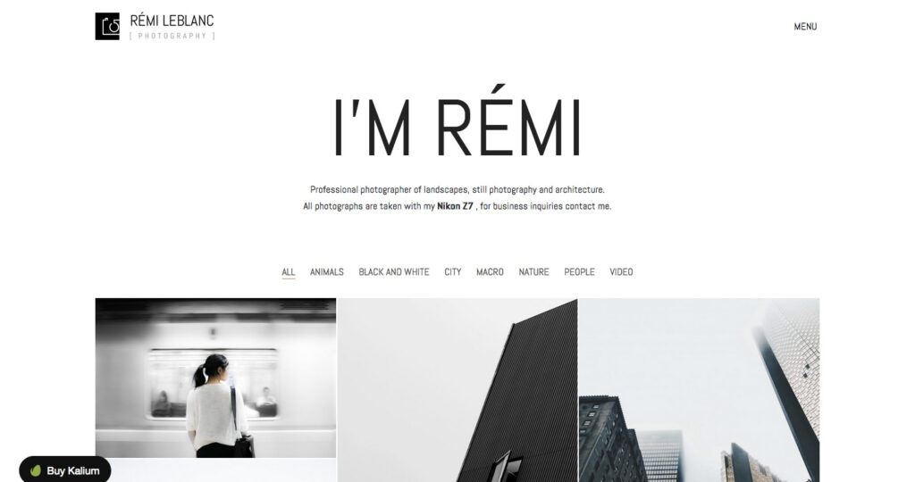 Kalium - One of the best WordPress themes for artists