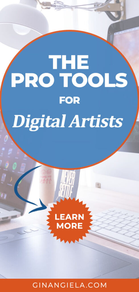 What tools do professional digital artists use?