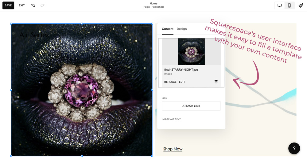 Squarespace is an easy-to-use website builder for artists.