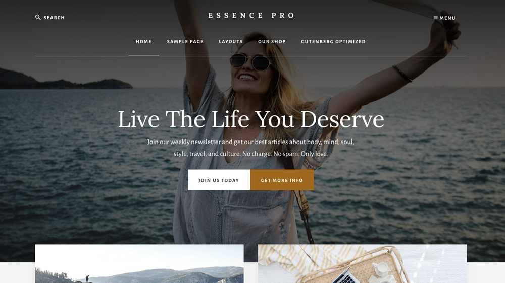 Breakthrough Pro Essence Pro WordPress theme for artists