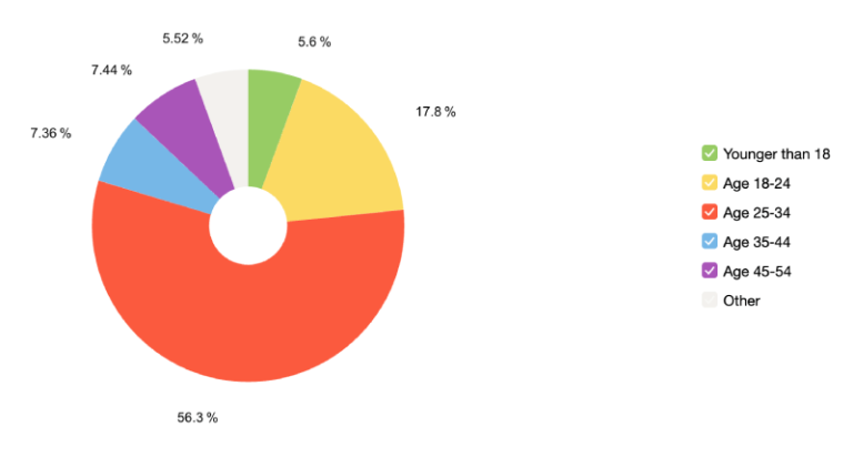 website audience according to age