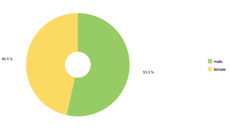 website audience according to gender