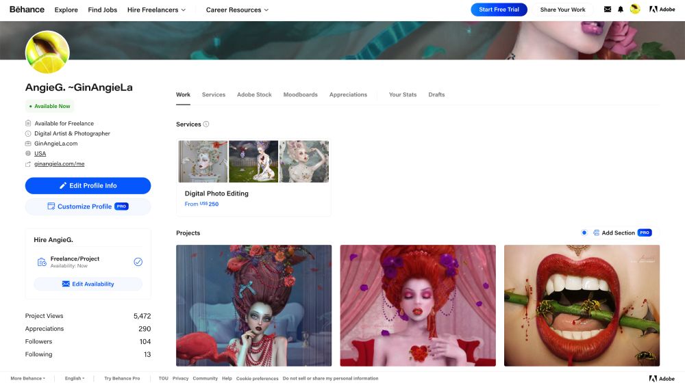 Behance is a free to use portfolio website for artists