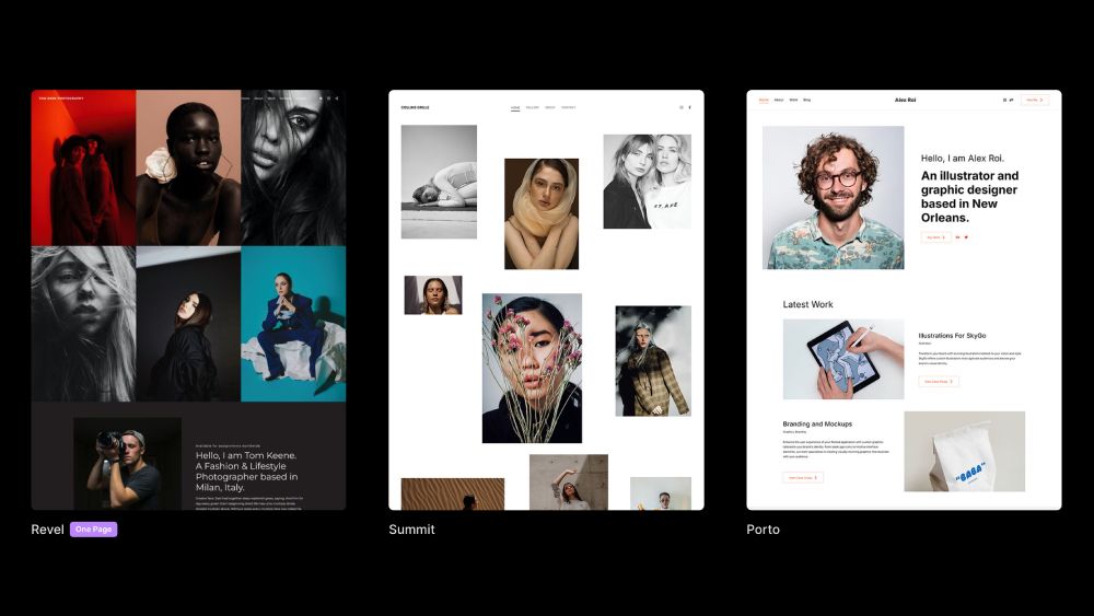 Pixpa offers great value for money for small art businesses