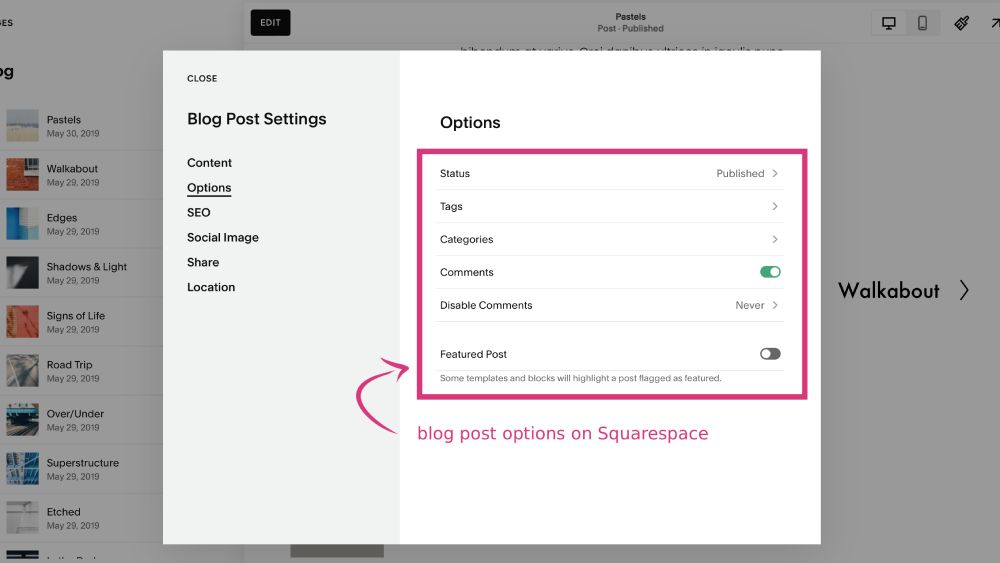 Blog post options on Squarespace