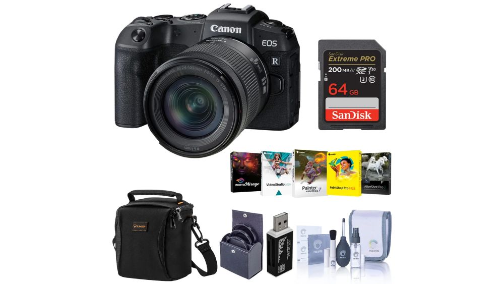 A camera can be a nice Christmas gift for a digital artist who likes to take photos themselves.